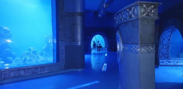 Entry Ticket: Grand Aquarium Hurgada - The Highlights and Considerations