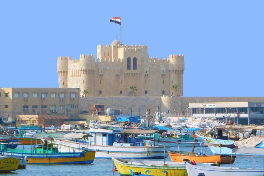 Entry Ticket l Alexandria Archeological - The Value of the Tour