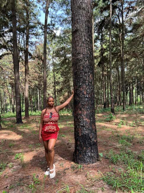 Enugu: City Tour with Ngwo Pine Forest and Waterfall - Exploring Nigeria’s Heritage at the National Unity Museum