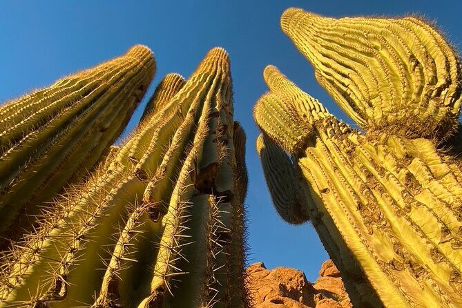 Epic Camelback Mountain Guided Hiking Adventure in Phoenix, Arizona - Detailed Review of the Camelback Mountain Guided Hike