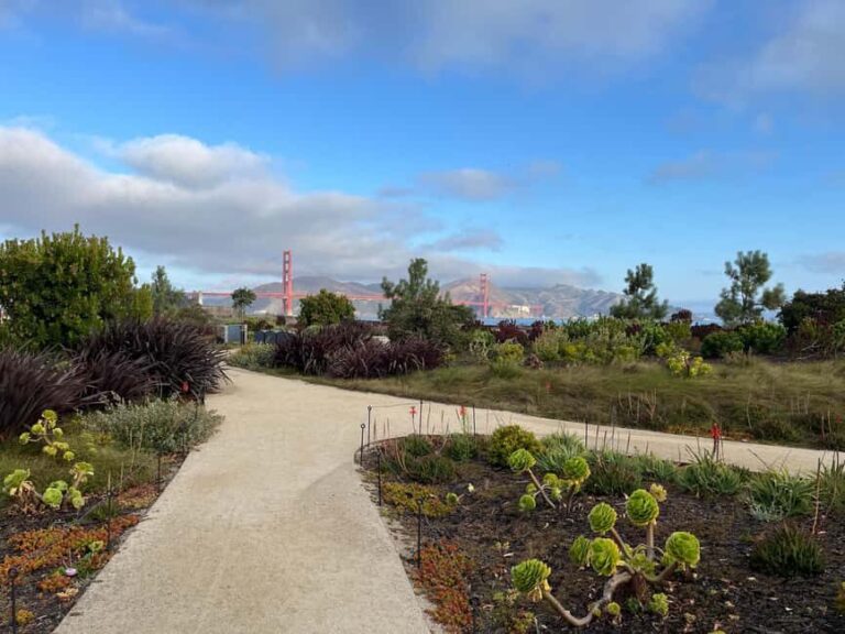 Epic San Francisco Views Urban Hiking Tour City and Nature - Who Should Consider This Tour?