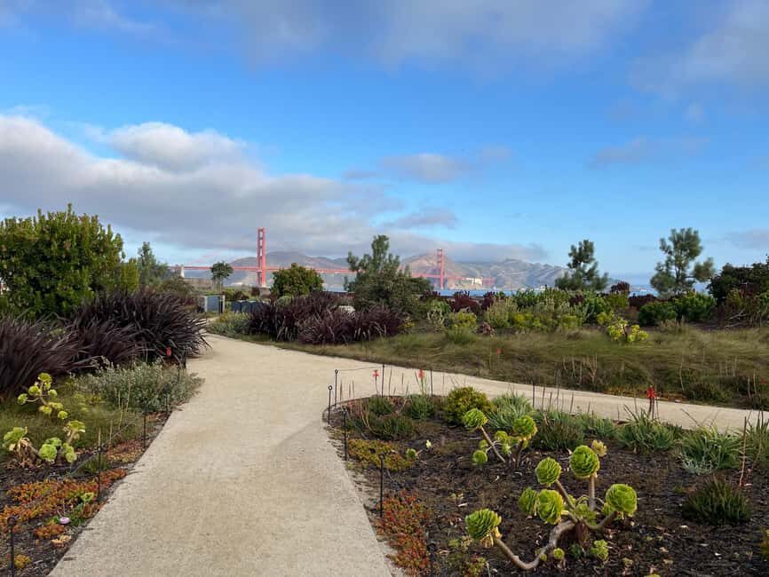 Epic San Francisco Views Urban Hiking Tour City and Nature - Who Should Consider This Tour?