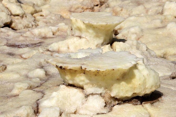 Ertaale and Dallol 6 Days Tour Package - What We Love About This Tour