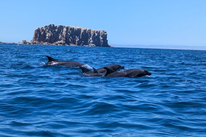 Espíritu Santo Adventure Private Tour - Why This Tour Stands Out