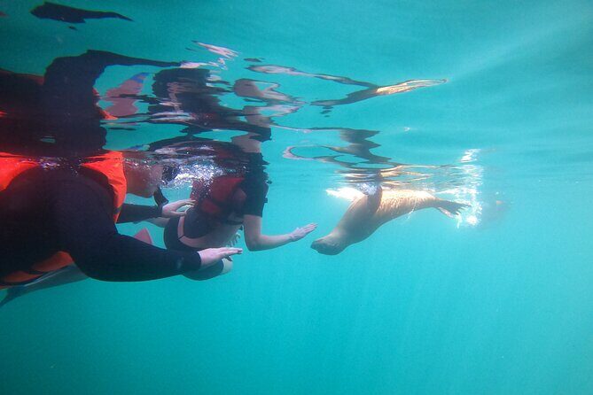 Espiritu Santo Island and sea lions - Practical Details and Considerations