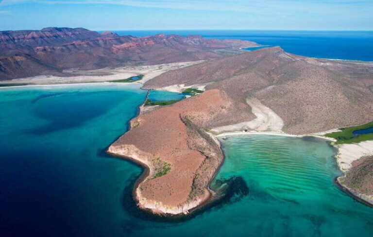 Espiritu Santo Island: Snorkeling Sea Lion Adventure - Value for Money and Practical Aspects