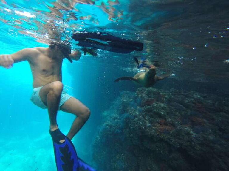 Espiritu Santo Snorkeling and Sea Lion Adventure - The Itinerary: What to Expect