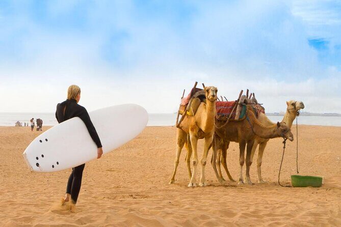 Essaouira: 2H/Quad+1H/Dromedary ride free transfer - Key Points