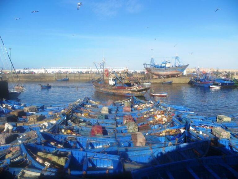 Essaouira Day Trip from Agadir - Key Points