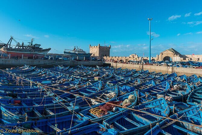 Essaouira day trip from Marrakech - What Travelers Say