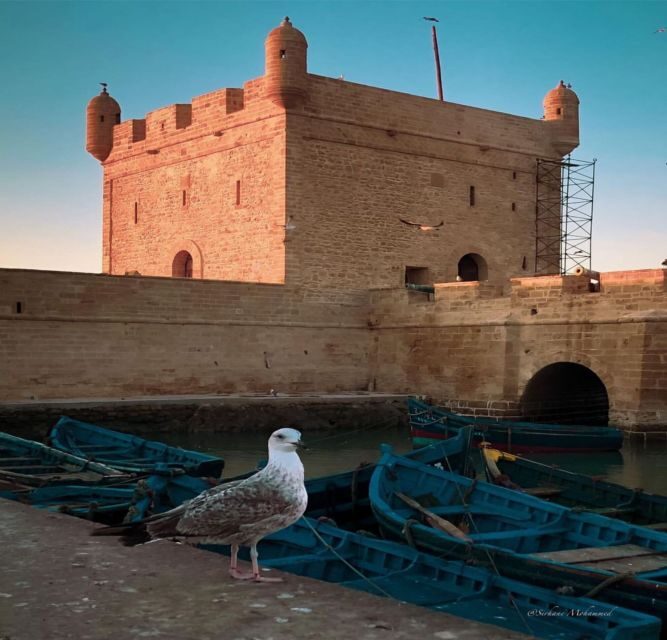 Essaouira Full Day Trip From Marrakech - The Itinerary Breakdown