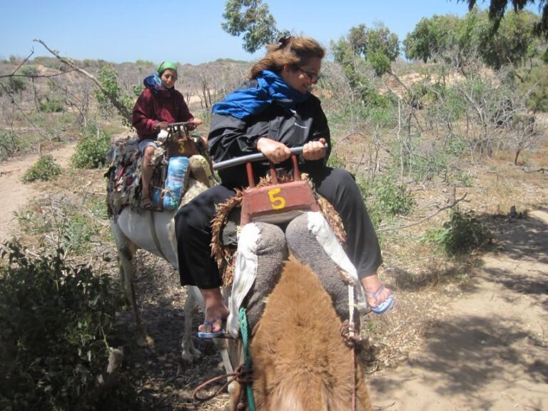Essaouira: Guided Dromedary Riding Tour - What to Expect During the Ride