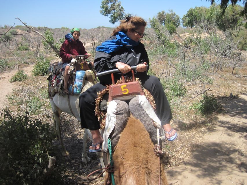 Essaouira: Guided Dromedary Riding Tour - What to Expect During the Ride