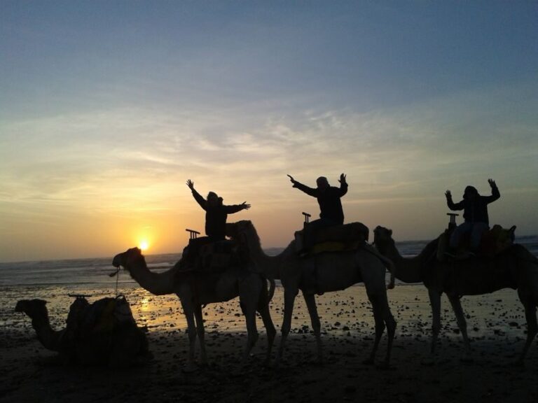 Essaouira: One Hour Dromedary Ride - Scenic Highlights and Photo Opportunities