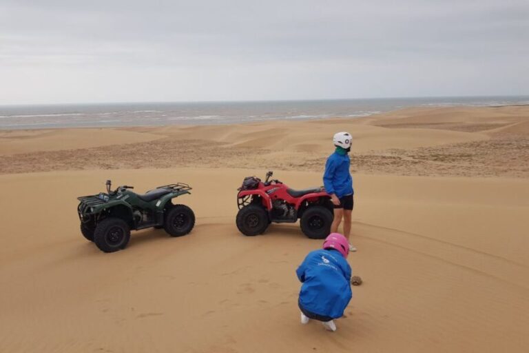 Essaouira P3: Quad tour forest beach dunes (free transfer) - The Practicalities and Value
