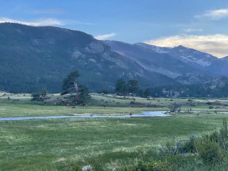 Estes Park: Guided Elk Rut Tour - Authenticity and Real Experiences
