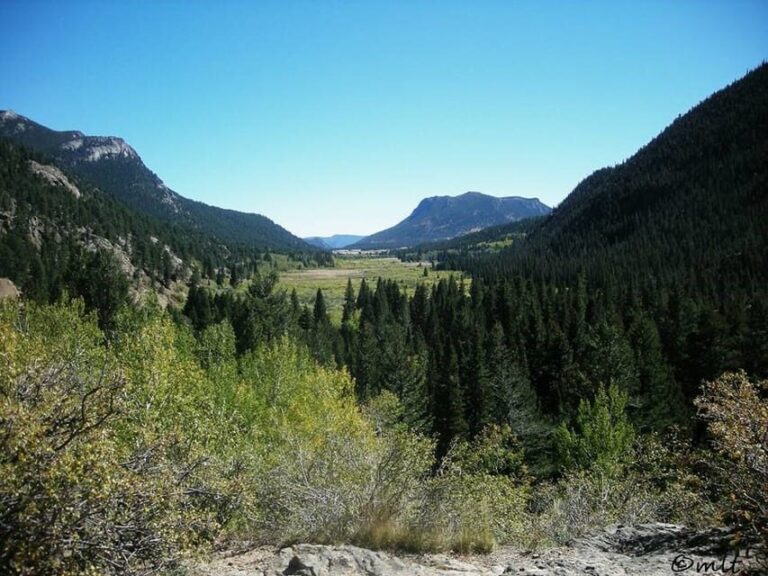 Estes Park: Off-Road 4x4 Jeep Adventure Tour - The Guide and the Experience