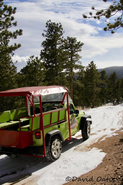 Estes Park: Rocky Mountain National Park Safari Tour - Why This Tour Delivers Value