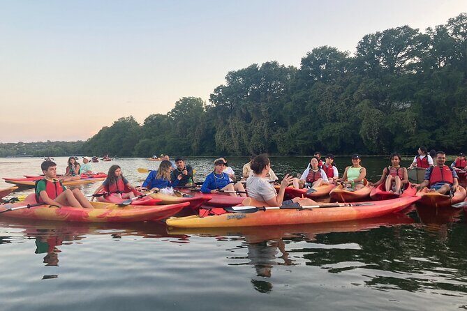 Evening Bat Watching Kayak Tour - Why This Tour Offers Great Value