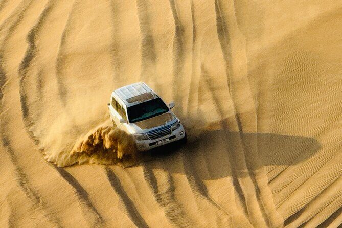 Evening Desert Safari Abu Dhabi with BBQ Dinner & Shows - A Closer Look at the Experience