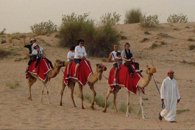 Evening Desert Safari Abu Dhabi with Dinner - Who Will Love This Tour?