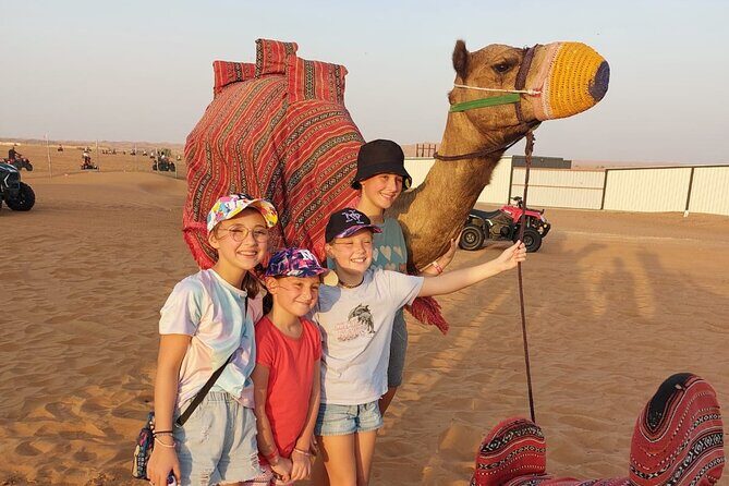 Evening Desert Safari Camel Ride Dinner Live Shows in Abu Dhabi - What to Expect from the Itinerary