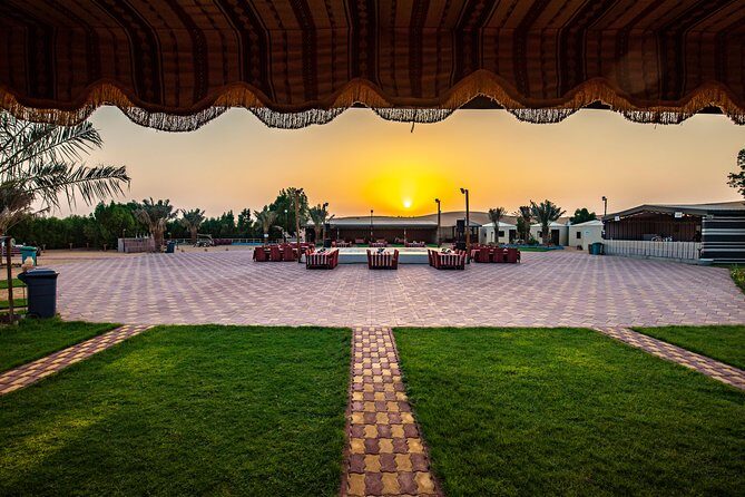 Evening Desert Safari & camel ride Without Camp Experience - Authentic Insights from Travelers