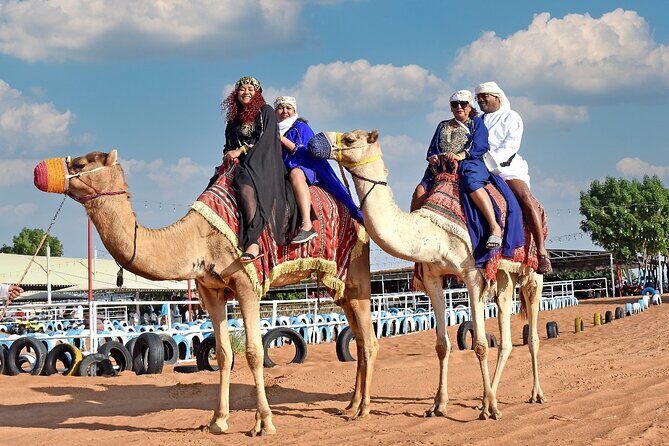 Evening Desert Safari Dubai with Live Shows and BBQ Dinner - Final Thoughts