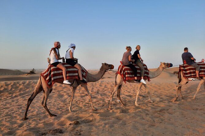 Evening Desert Safari in Dubai with Dune Bashing , Camel Ride and BBQ Dinner - Who Should Consider This Tour?