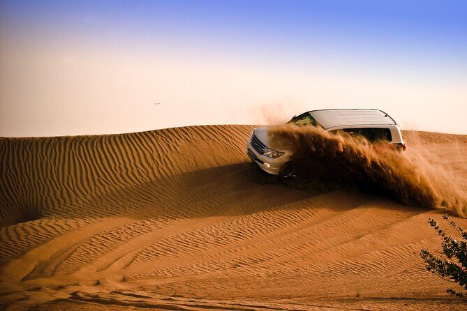 Evening Desert Safari Tour with Sand Surfing, BBQ Dinner (Exclusive Car) - Why This Tour Offers Real Value