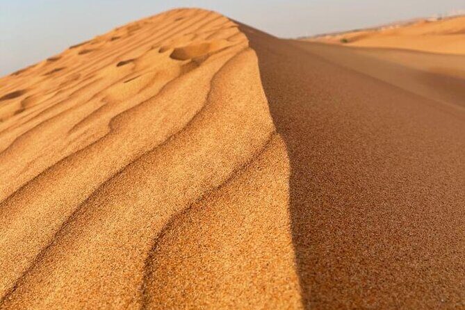 Evening Desert Safari Tours - What Do the Reviews Say? Authentic Perspectives