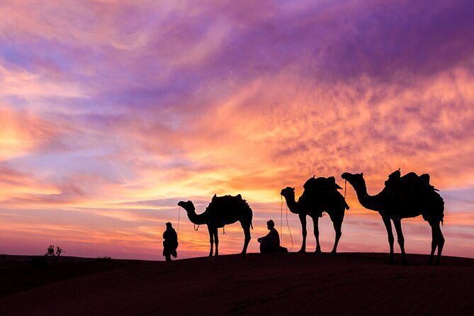 Evening Desert Safari with BBQ Dinner and Live Shows - The Bedouin Camp Experience