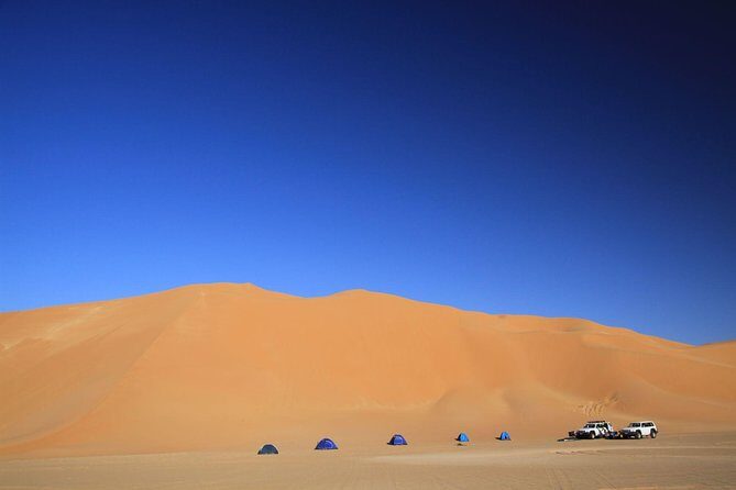 Evening Desert Safari with Belly Dance and BBQ Dinner and Camel Ride - Exploring the Itinerary: What to Expect