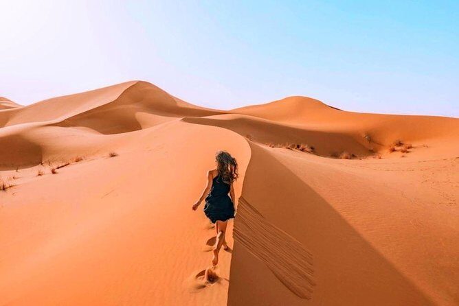 Evening Red Dunes Desert Safari Private Only Dune Bashing - What You Should Know Before Booking