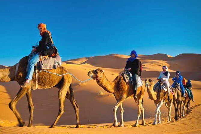Evening Sunset Desert Safari Dubai - Who Will Love This Tour?