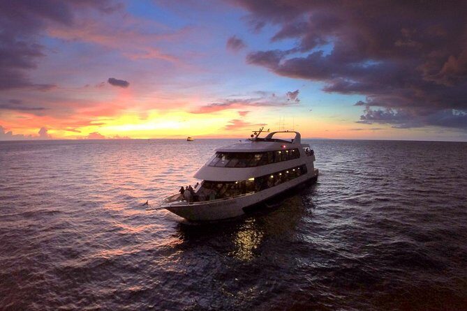 Evening Yacht Cruise with Optional Dining in St. Petersburg - Key Points