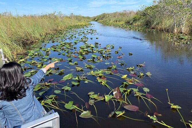 Everglades Airboat, Wildlife Show and free Photo - Who Should Consider This Tour?