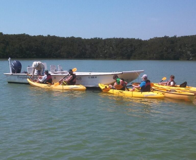 Everglades: Boat Assisted Kayak Eco Tour - What the Tour Includes and What to Expect