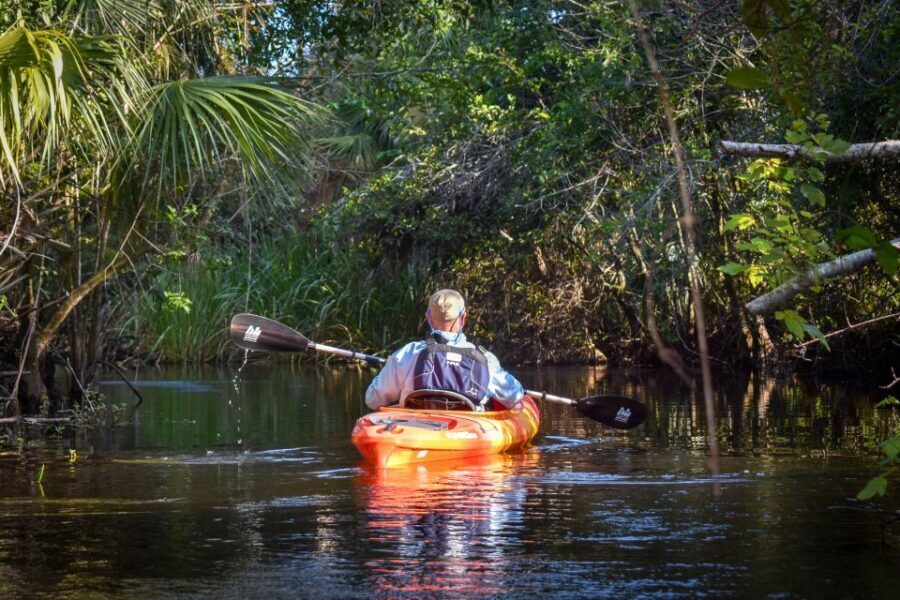 Everglades City: Guided Kayaking Tour and Airboat Ride