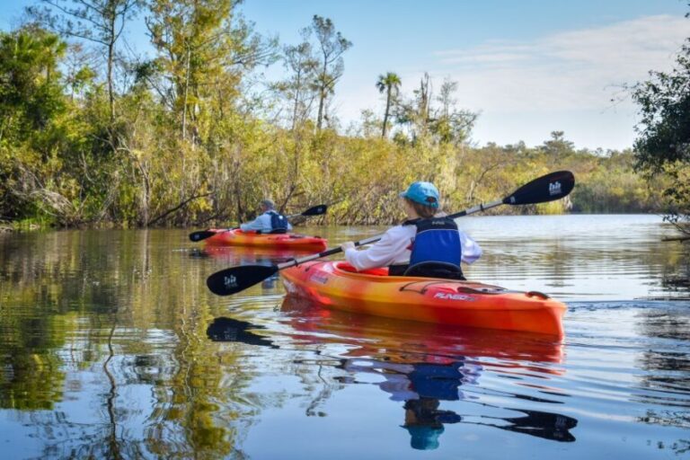 Everglades City: Guided Kayaking Tour of the Wetlands - Paddling Through the Mangroves and Ponds