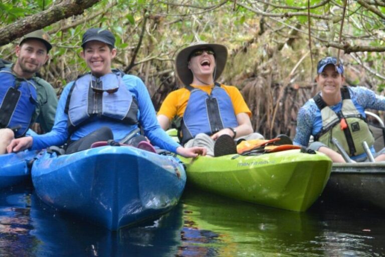 Everglades Kayak Safari Adventure Through Mangrove Tunnels - Experience Overview: What You Can Expect