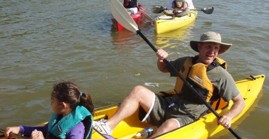 Everglades National Park 3-Hour Kayak Eco Tour - Reviews and What Others Say