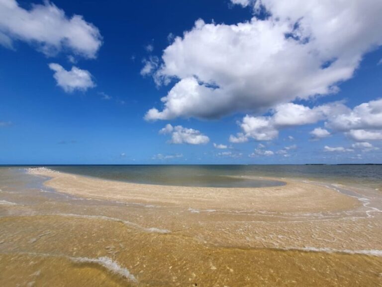 Everglades National Park: Motorboat Eco Tour - Practical Tips for Booking and Enjoying Your Tour