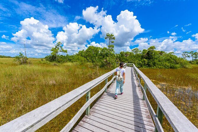 Everglades National Park Self-Guided Audio Tour - The Experience: What It Means for You
