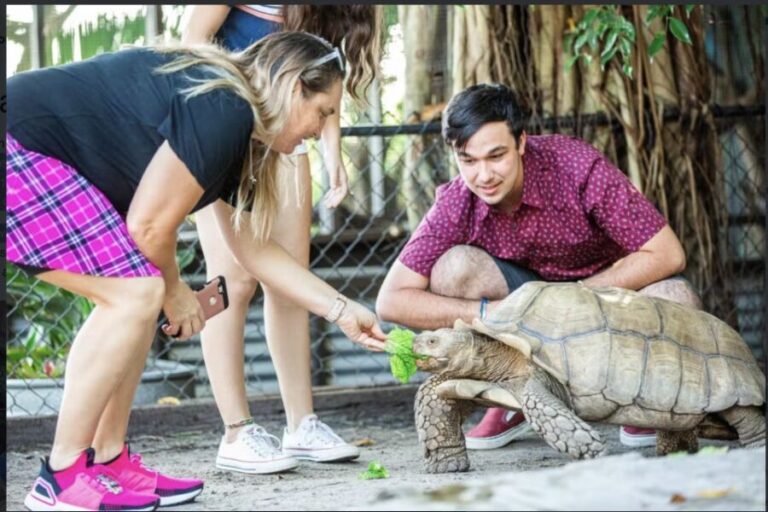 Everglades: Sawgrass Park Reptile Exhibit Private Tour - The Value of the Experience