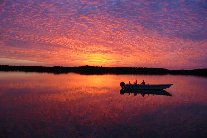 Everglades Small Group Guided Boating and Walking Expedition - Authentic Feedback From Participants