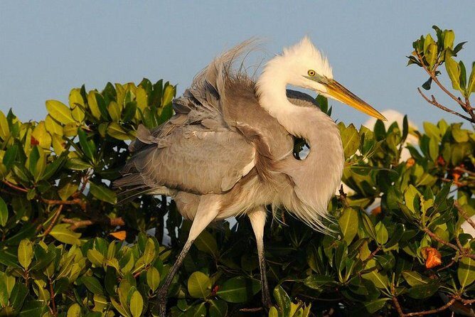 Everglades Small Group Guided Boating & Walking Tour Expedition - What’s Included and What’s Not