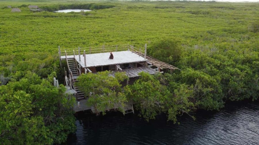 Exclusive dining experience next to a cenote in Tulum