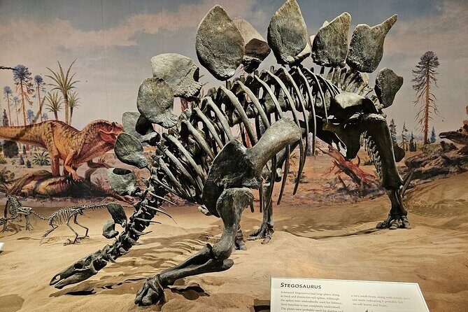 Exclusive Drumheller Private Tour from Calgary - Exploring Drumheller Town and the World’s Largest Dinosaur