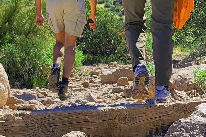 Exclusive: Happy Cactus Tour to Apache Trail & Superstition Mtn - Authentic Experiences in a Small Group